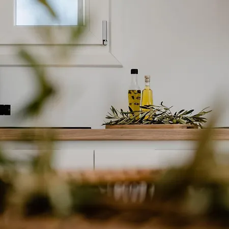 Dia, Just 50m From Beach, Naxos Villa